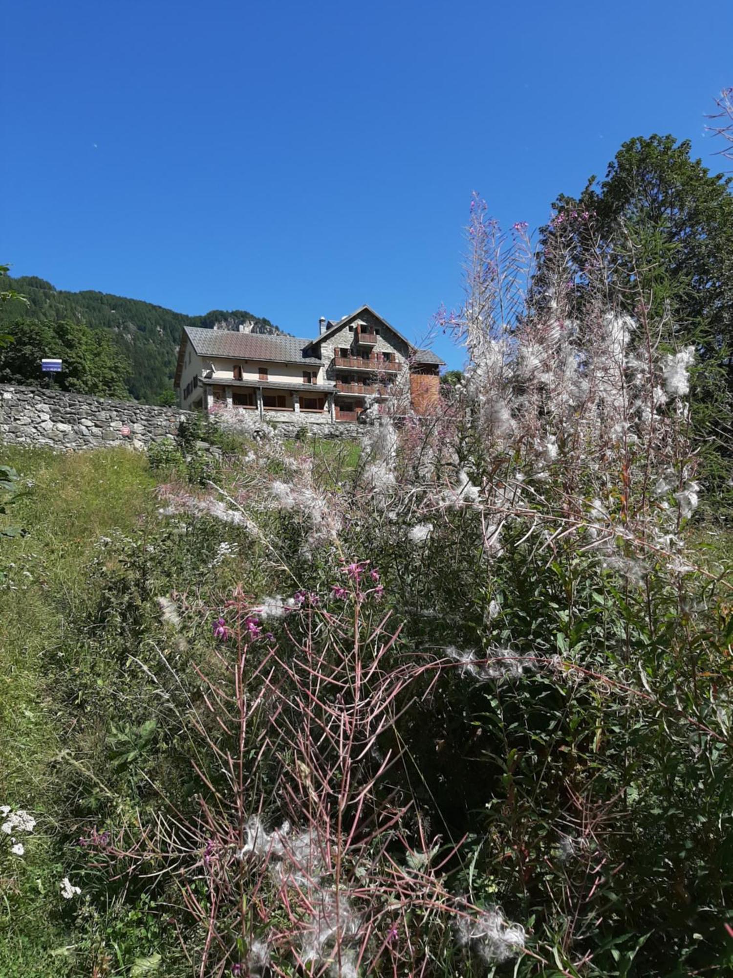 Hotel Chalet Du Bon Air Peisey Nancroix Bagian luar foto